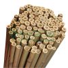 Plantit Bamboo Sticks