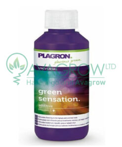 Green Sensation 500ML