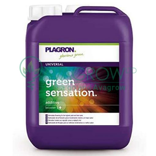 Green Sensation 5L
