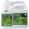 Iguana Juice Grow Family