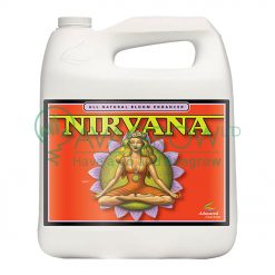 Nirvana 4L