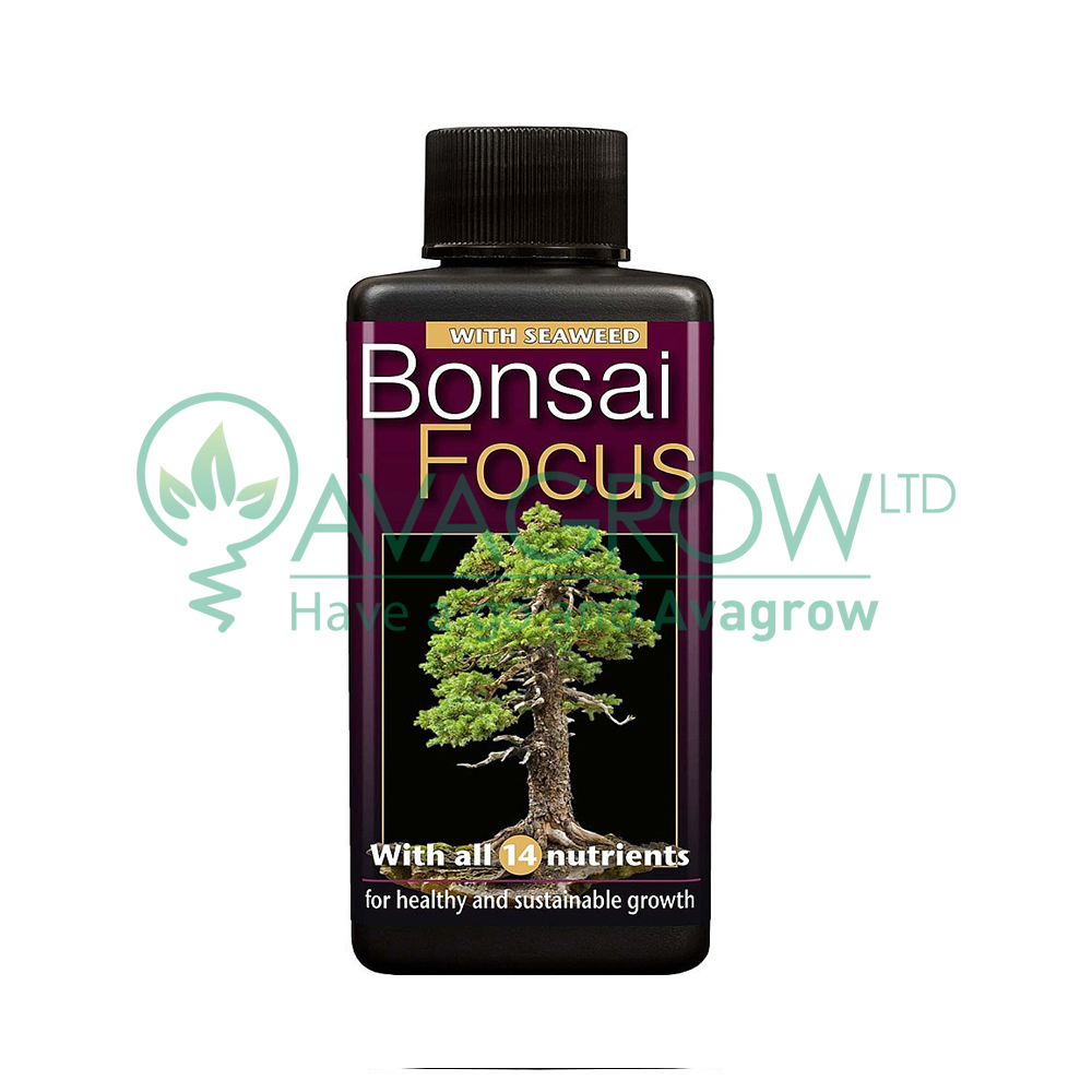 Bonsai Focus 100 ML