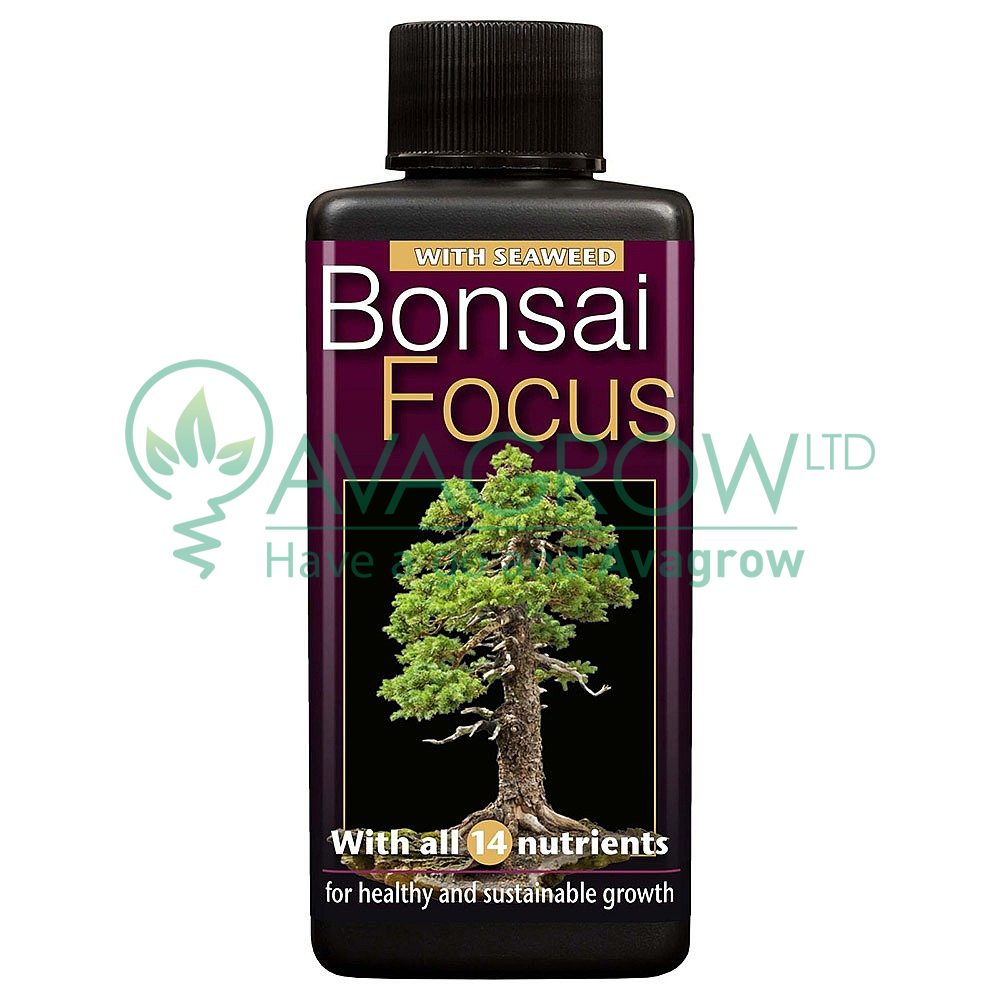 Bonsai Focus 300 ML