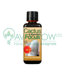 Cactus Focus 100 ML