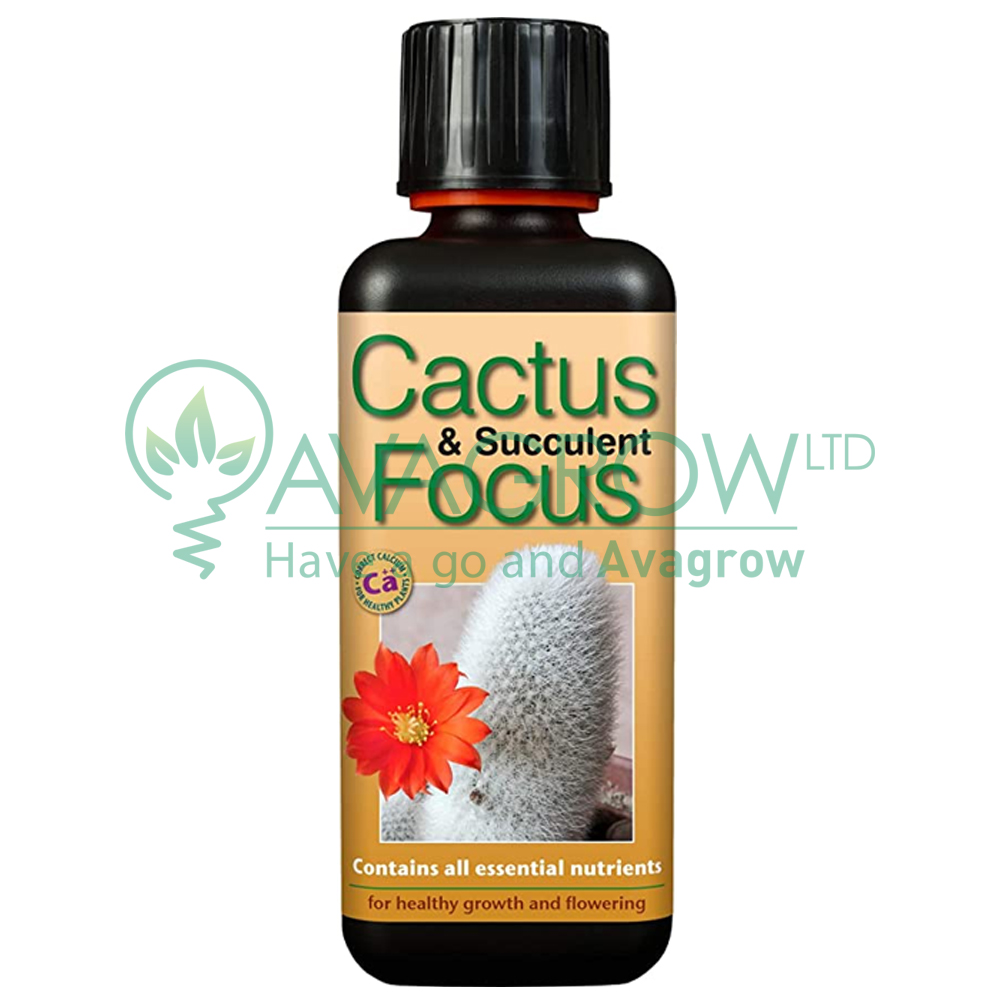 Cactus Focus 300 ML