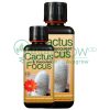 Cactus Focus Family