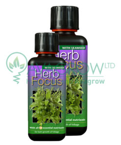 Herb Focus Family