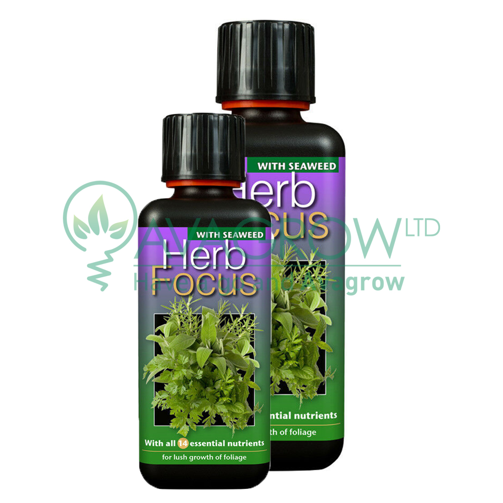 Herb Focus Family