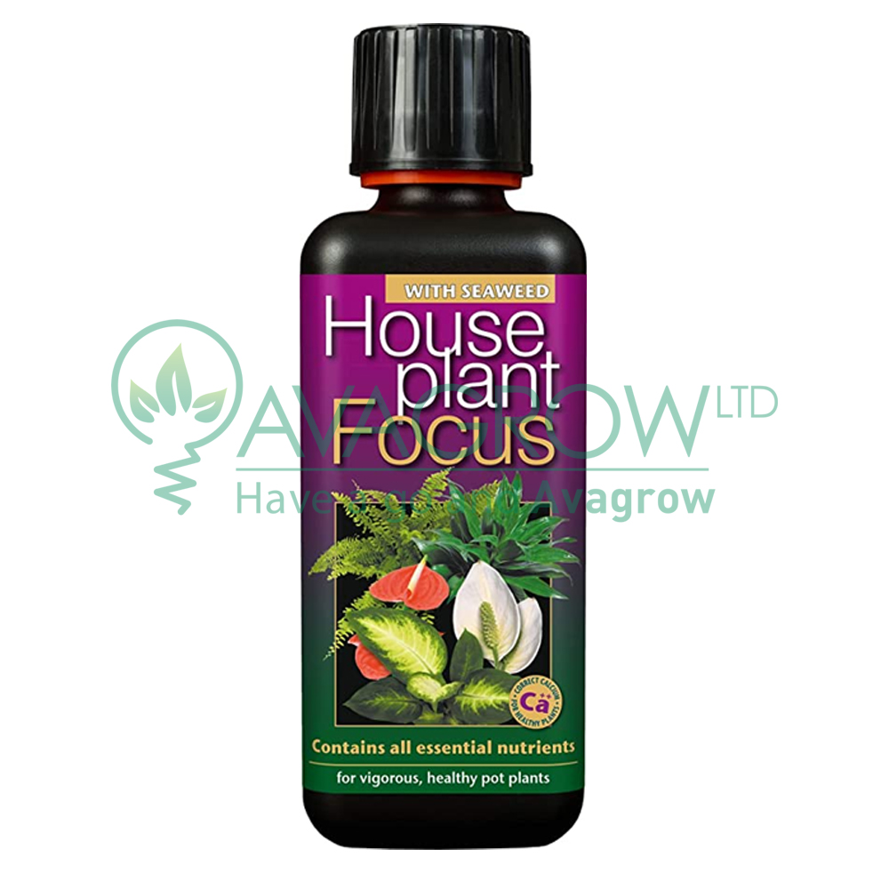 House Plant Focus 300ML