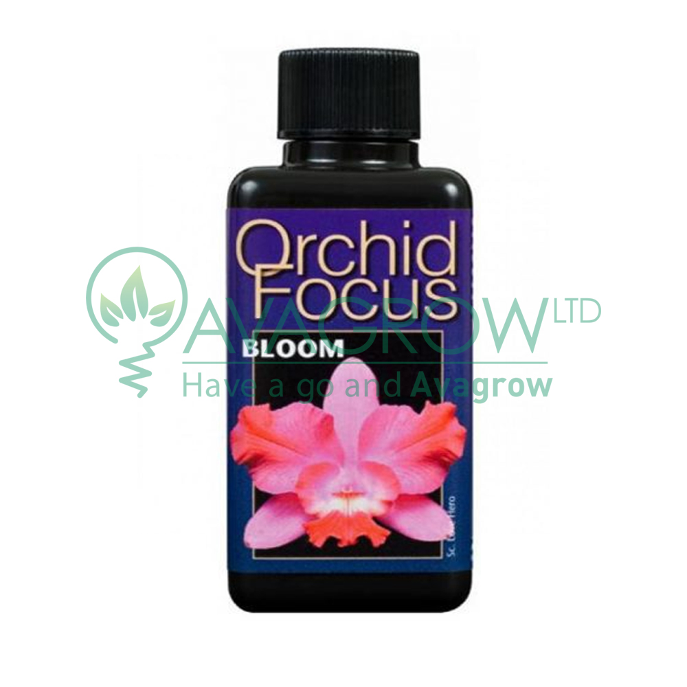 Orchid Focus Bloom 300ML