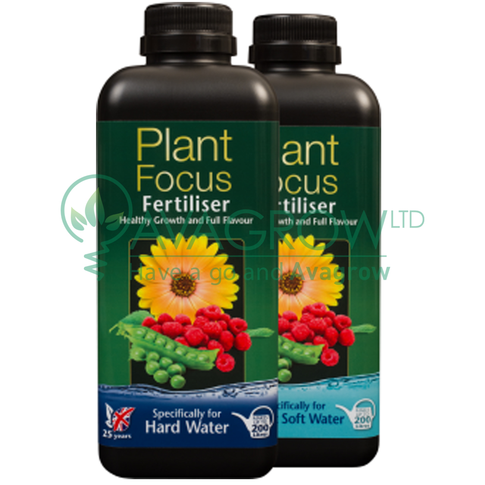 Plant Focus