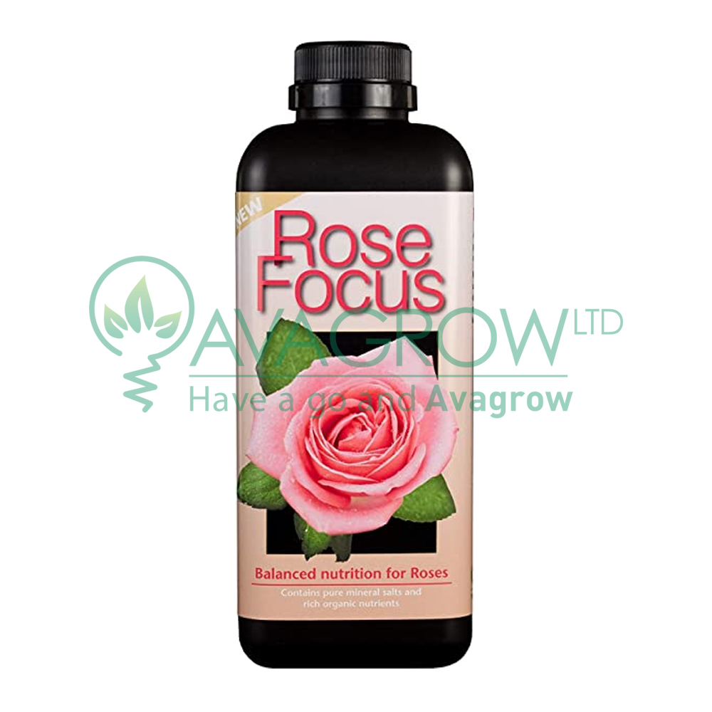Rose Focus 300ML