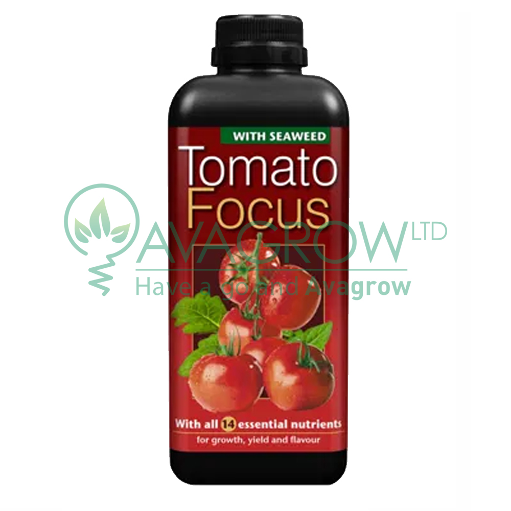 Tomato Focus 2L