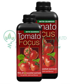 Tomato Focus Family