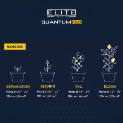 Elite Quantum light hanging guide