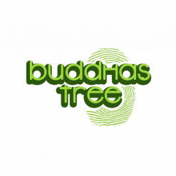 Buddha's Tree